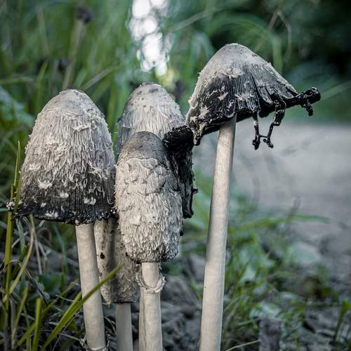 Photo #12765764