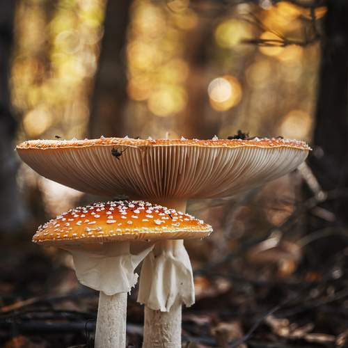 Photo #12765767