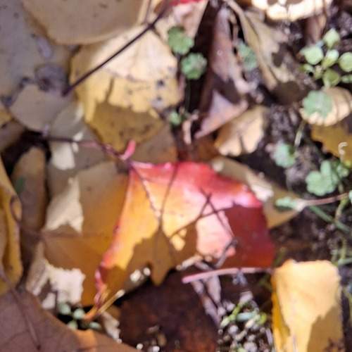Photo #12766084