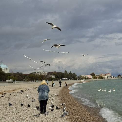 Photo #12766086