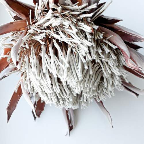 Photo #12766360