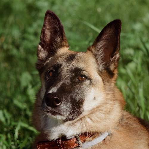 Photo #12766427
