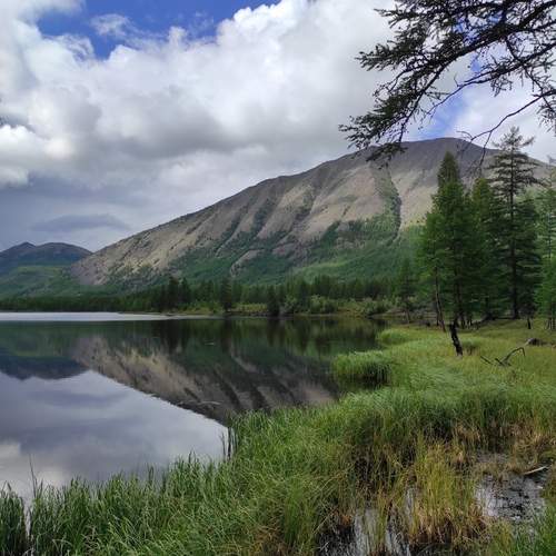 Photo #12766601