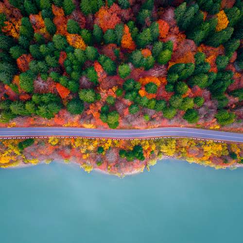 Photo #12766762