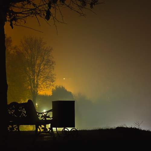 Photo #12766802