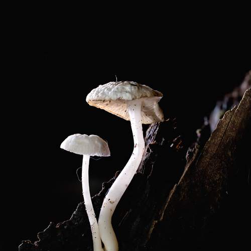 Photo #12766914