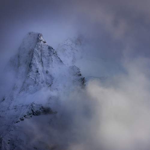 Photo #12766958