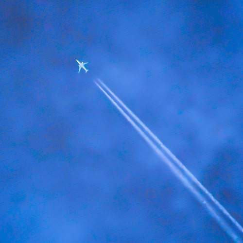 Photo #12767156
