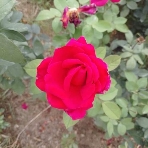 Photo #12767219