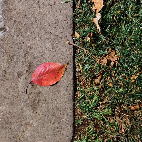 Photo #12767414
