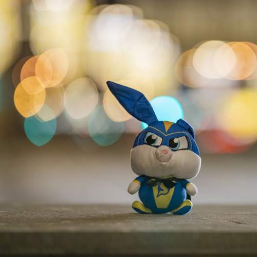 Фотография #12767523