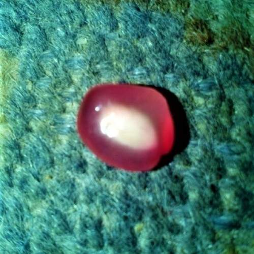Photo #12767601