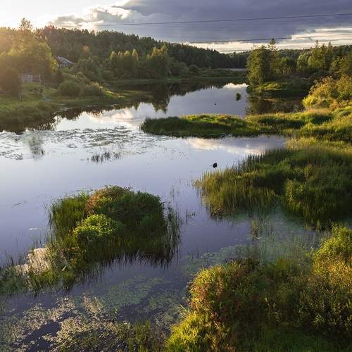 Photo #12767602