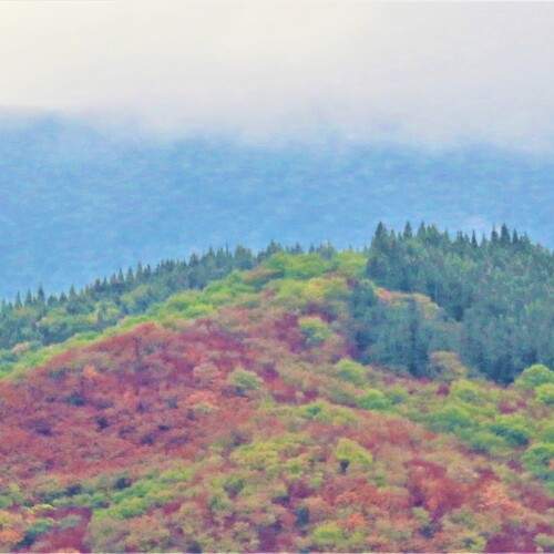 Photo #12767612