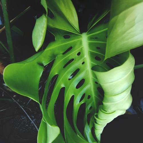 Photo #12767621