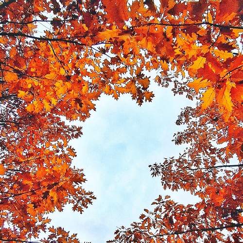 Photo #12767856