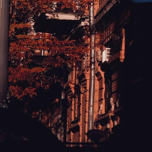 Photo #12768208