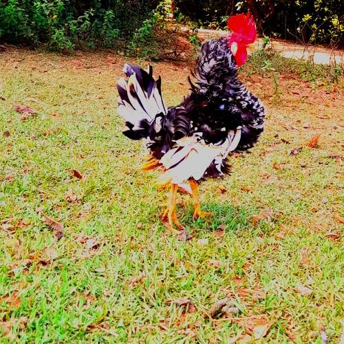 Photo #12768222