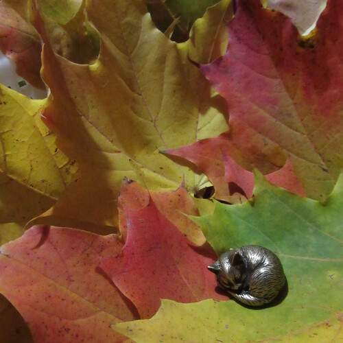 Photo #12768264