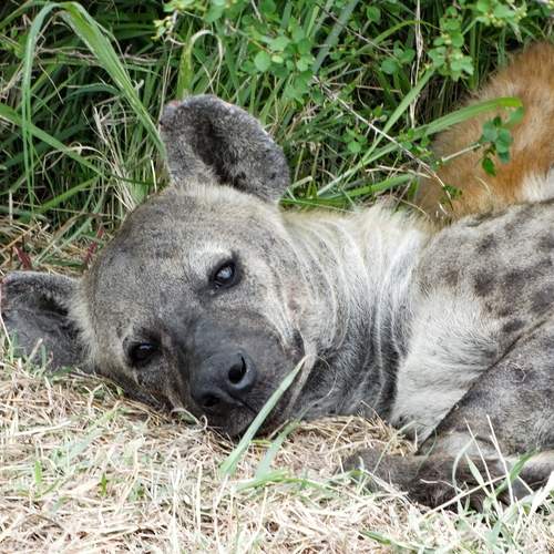 Photo #12768269