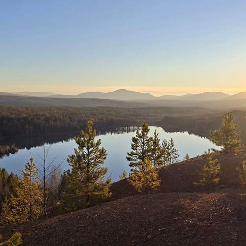 Photo #12768340