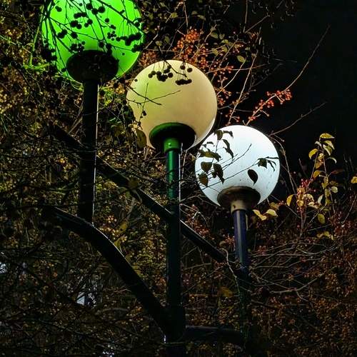 Photo #12768397