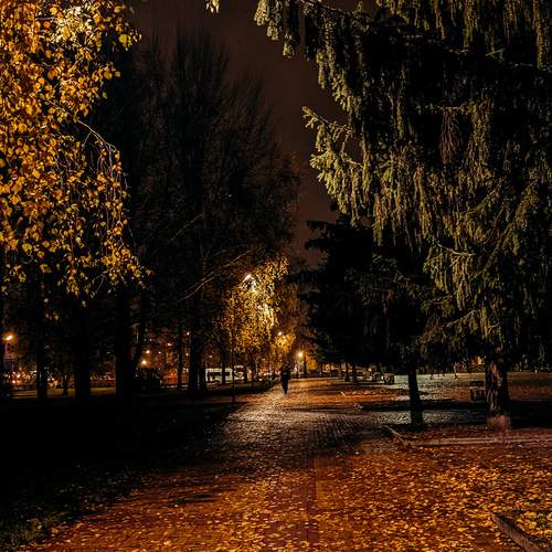 Photo #12768400