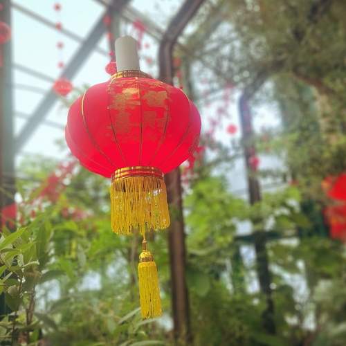 Photo #12768510