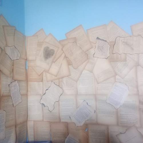Photo #12768655