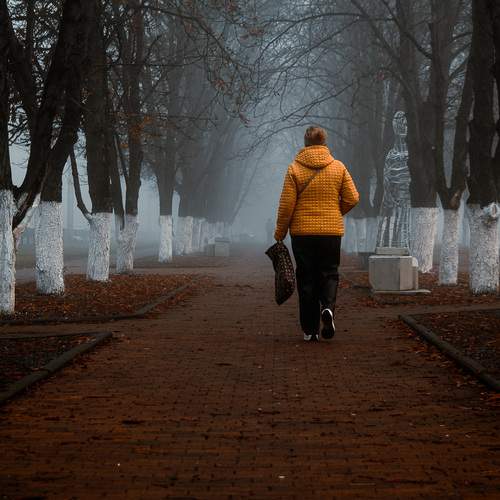 Photo #12768852