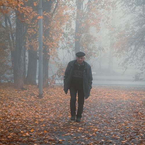 Photo #12768868