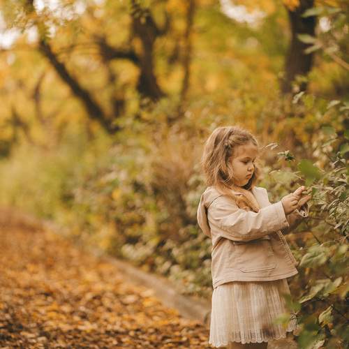 Фотография #12769049