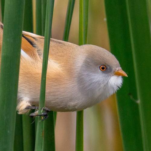 Photo #12769080