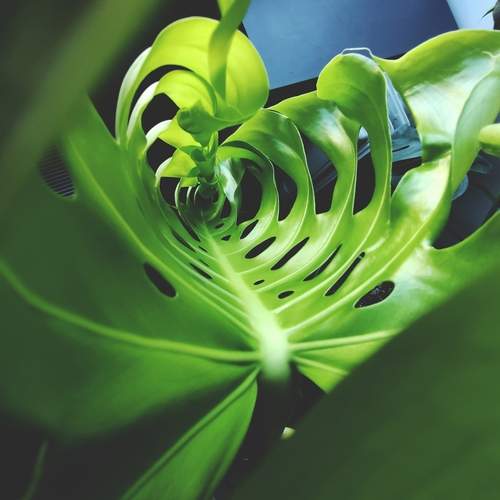 Photo #12769138