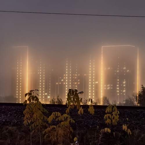 Photo #12769169