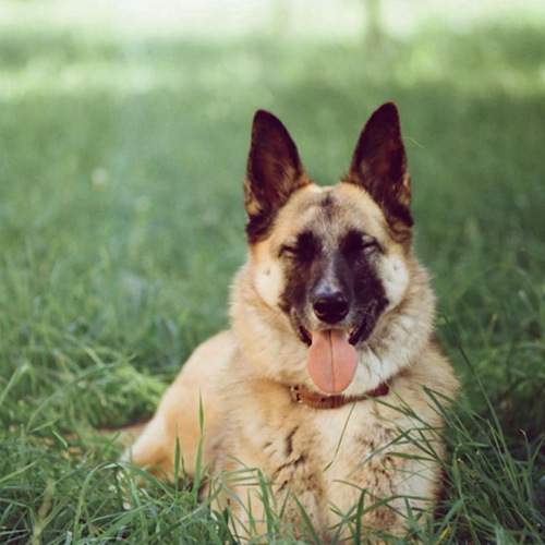 Photo #12769243