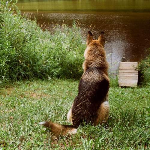 Photo #12769246