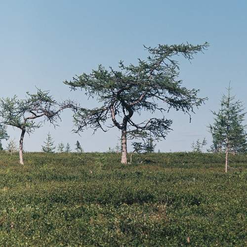 Photo #12769249