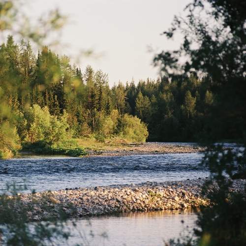 Photo #12769251