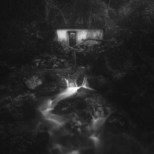 Photo #12769792
