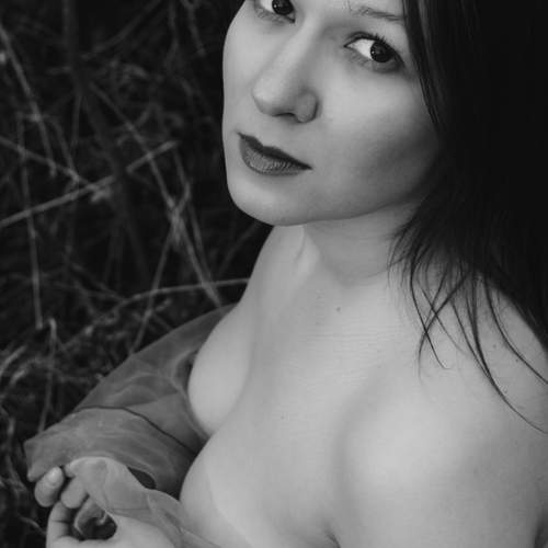 Photo #12769821