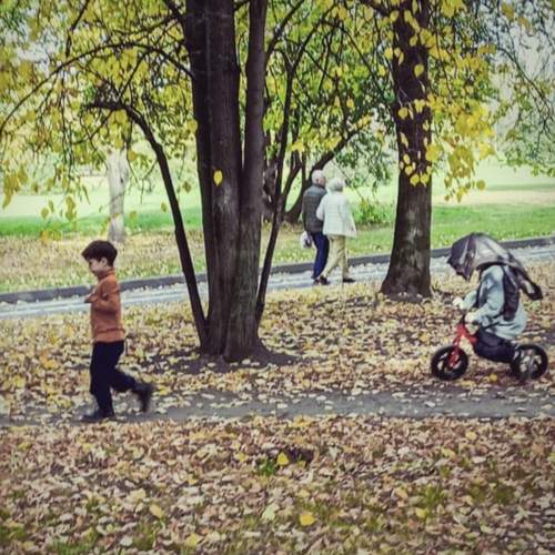 Photo #12769835