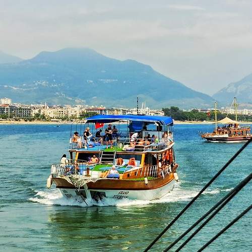 Photo #12770530
