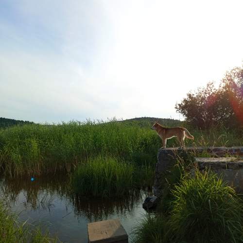 Photo #12770634