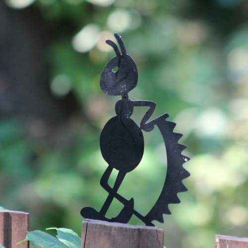 Photo #12770794