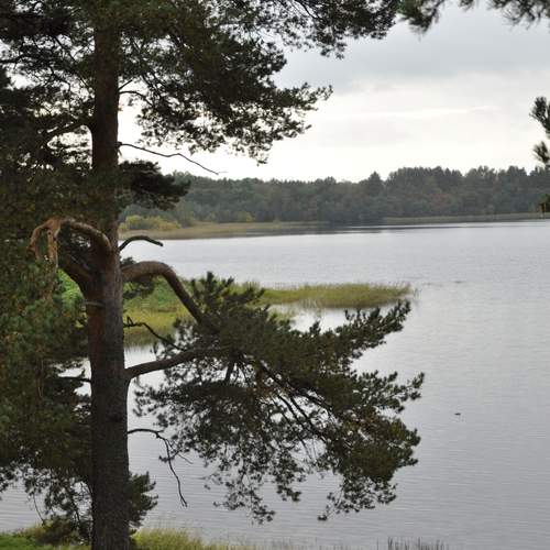 Photo #12770822