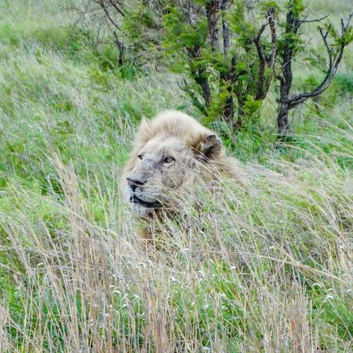 Photo #12770850