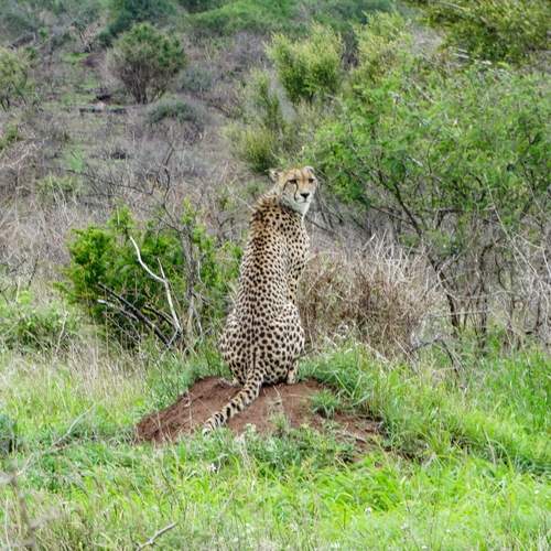 Photo #12770851