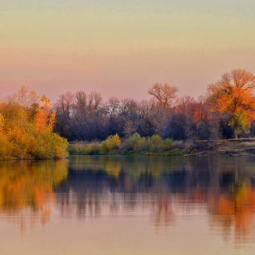 Photo #12770885