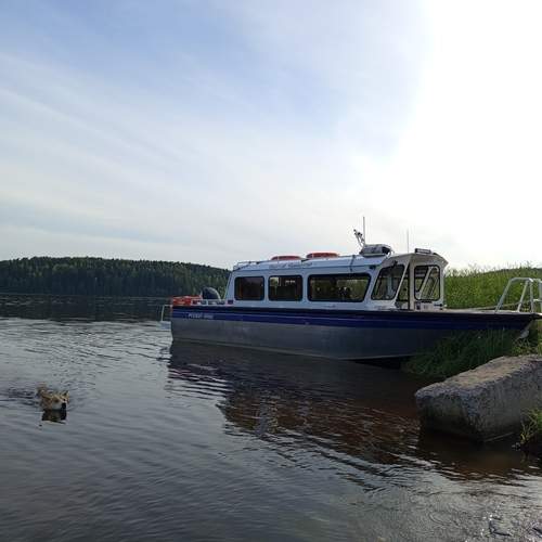 Photo #12771058